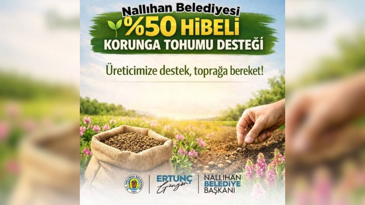 Nallıhan Belediyesi’nden çiftçilere yüzde 50 hibeli korunga tohumu desteği