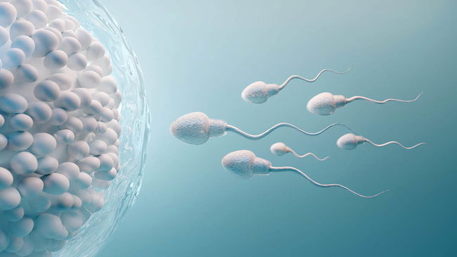 Sperm kalitesini artıran 'altın' besinler belli oldu!