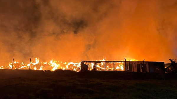 İzmir'de çöp depolama alanında çıkan yangın rüzgarın etkisiyle büyüdü