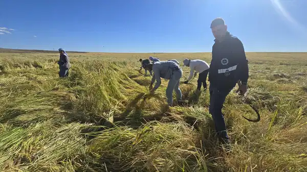 Son Dakika Haber Görseli