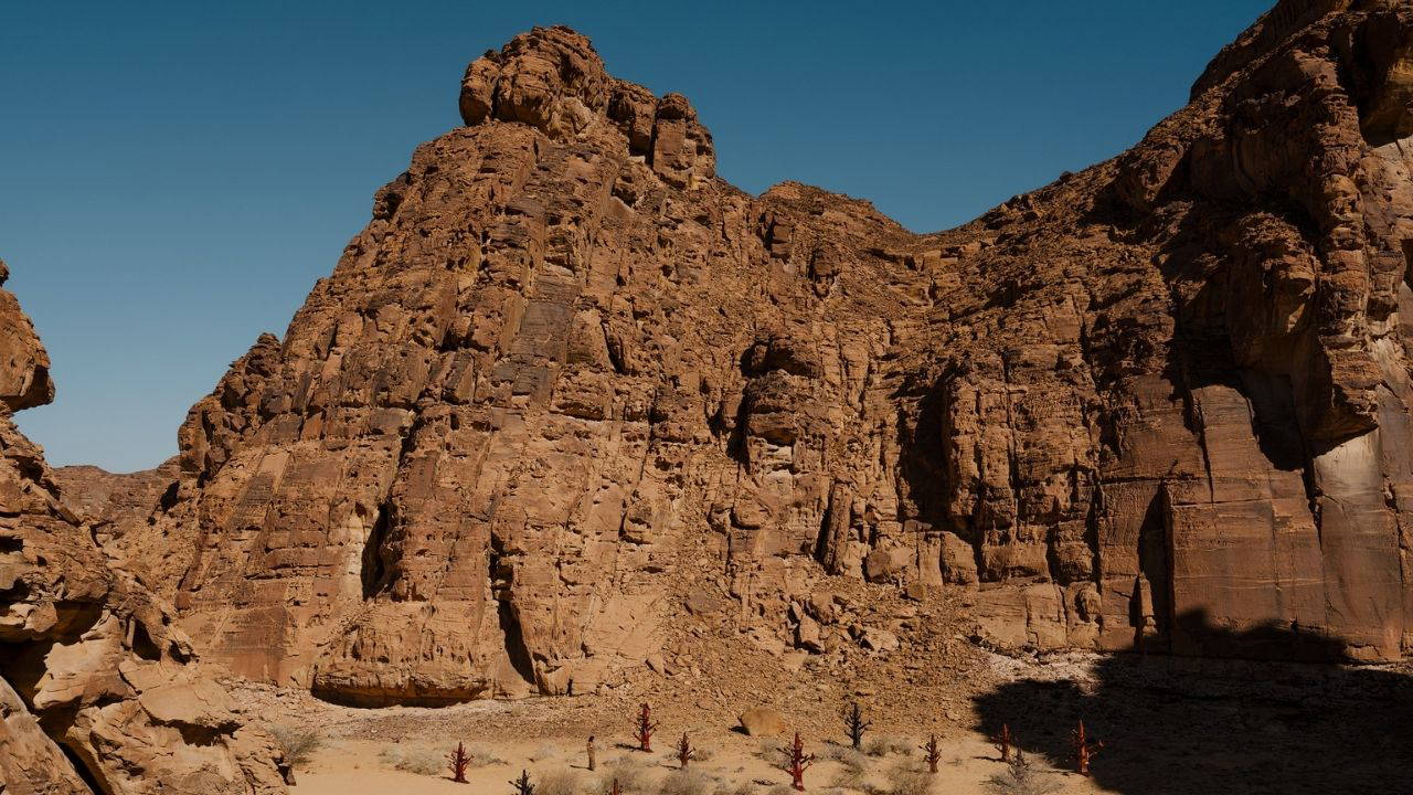 Çölün kalbinde sanat: Desert X AlUla