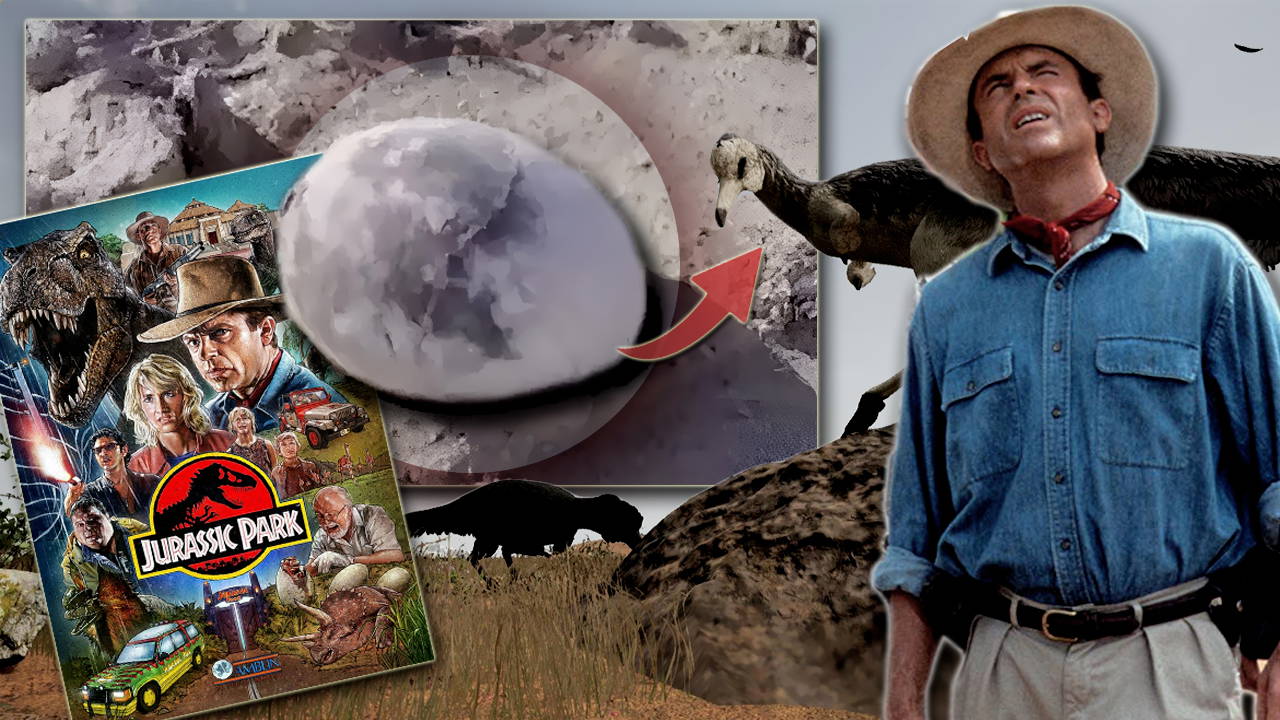 Arjantin’de 70 milyon yıllık ‘kusursuzca korunmuş’ bir dinozor yumurtası bulundu