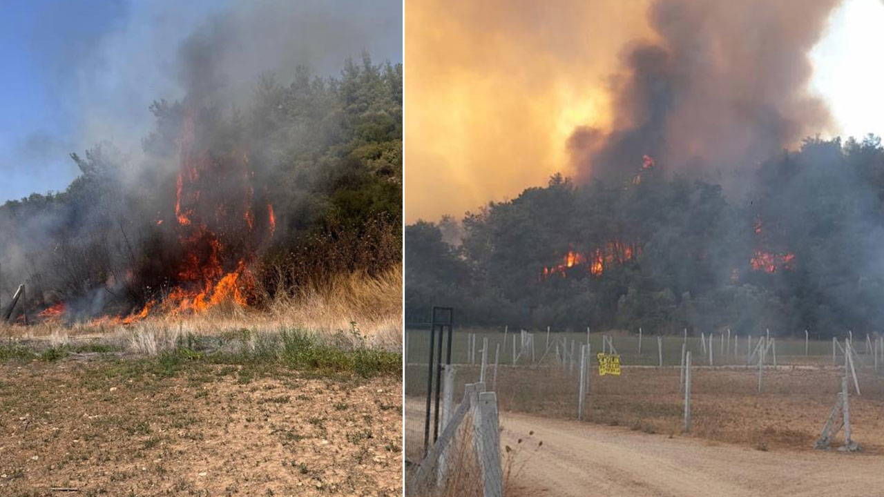 İzmir'de orman yangını: Geniş alana yayıldı!