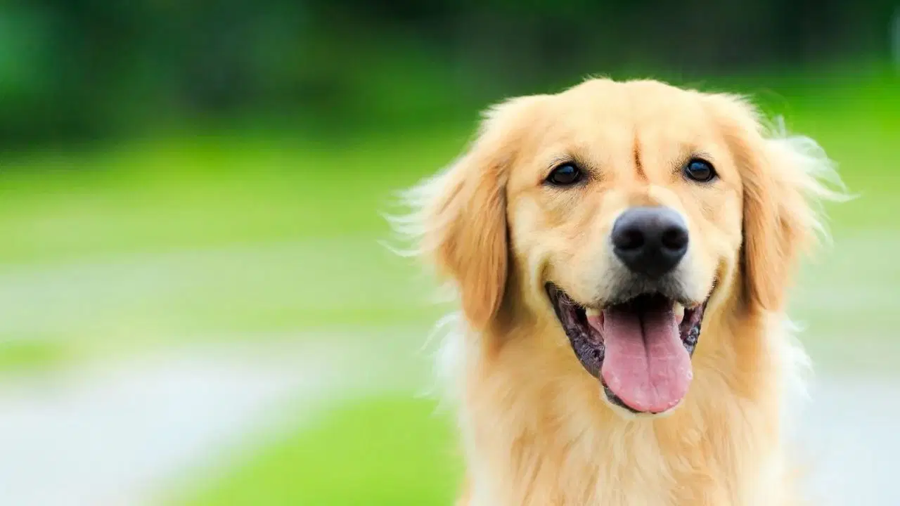 Son Dakika Haber Görseli