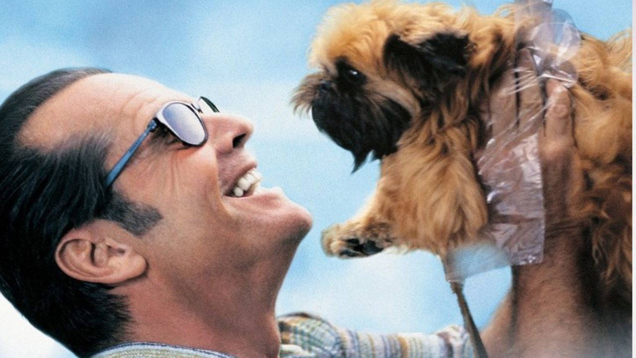 Romantik komedi tutkunlarına: IMDb’ye göre en iyi 10 romantik komedi filmi