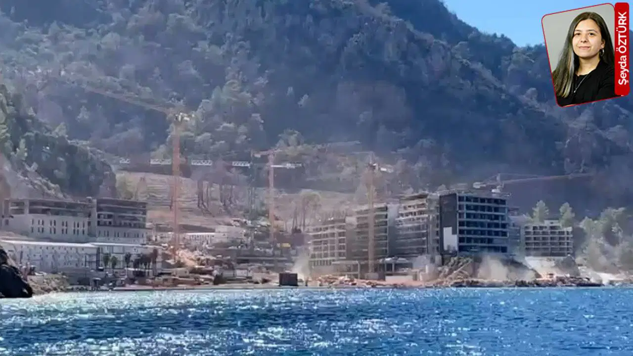 Milli park sınırlarında ekolojik yıkım yaptı, reklamda ‘Çevreye duyarlı’ dedi: Katliamın adı 'çevrecilik' oldu