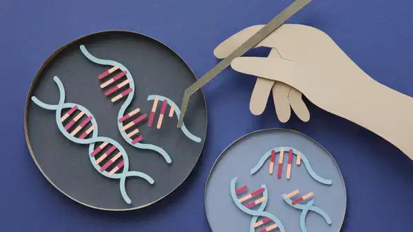 İnsan DNA'sına Dokunuş: Yeni Bir Umut Sinyali