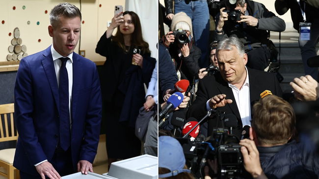 Katılım rekor kırdı