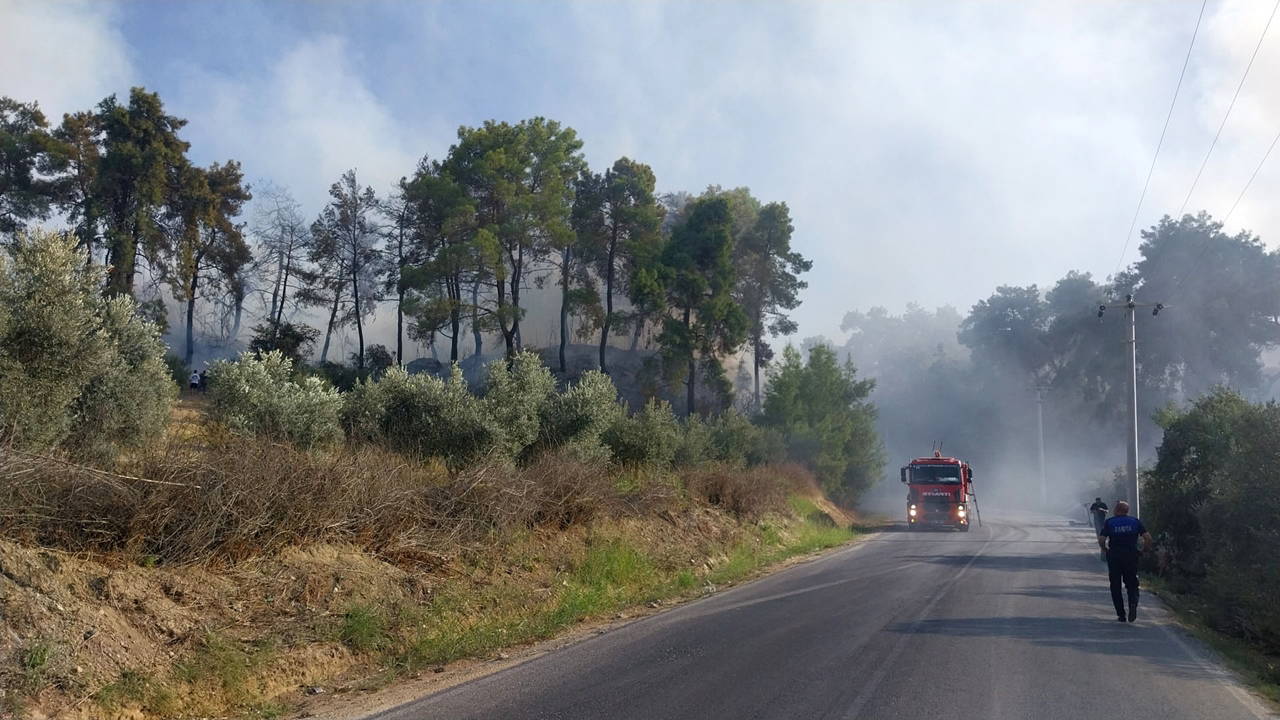 Antalya'da orman yangını!