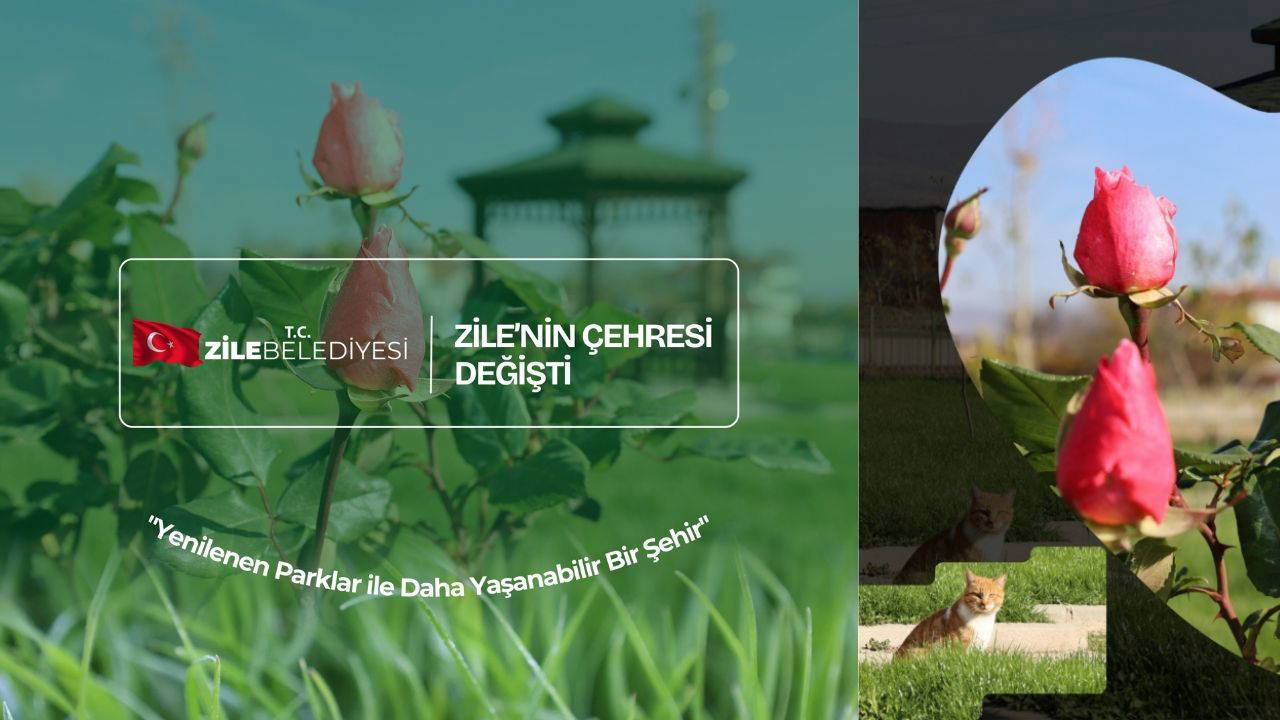 Zile’nin çehresi değişti