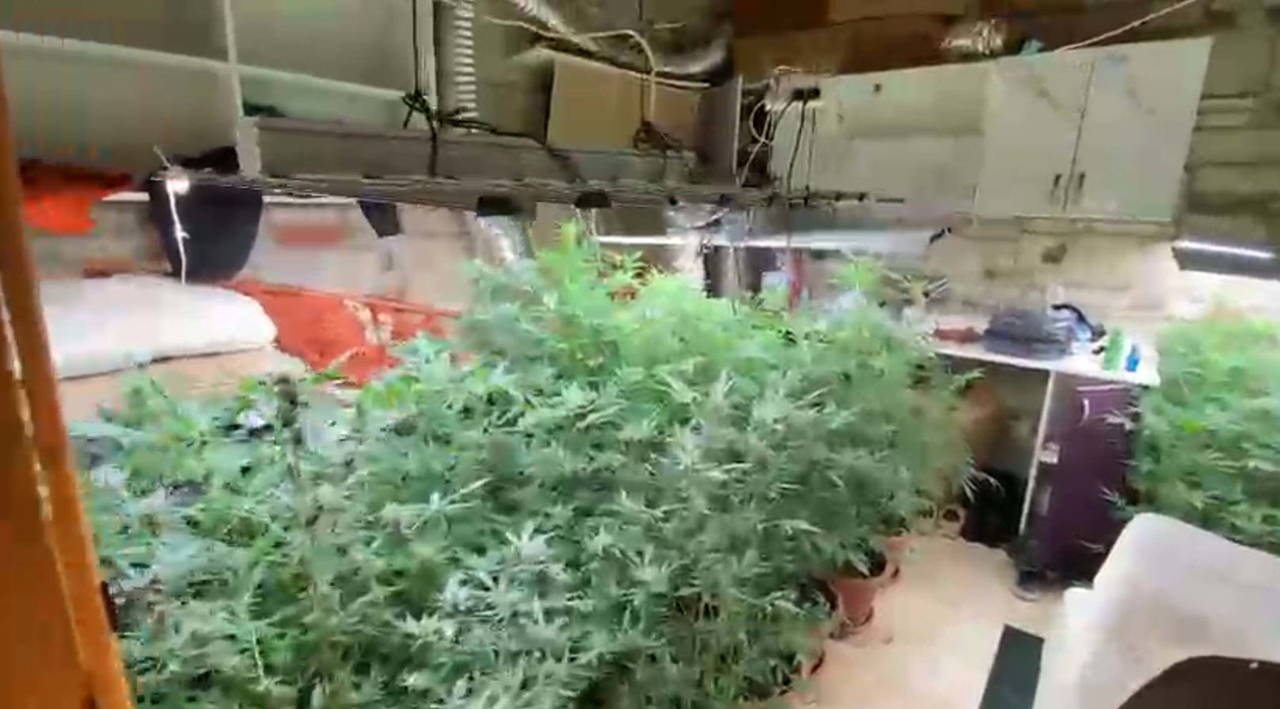 Galeri Görseli