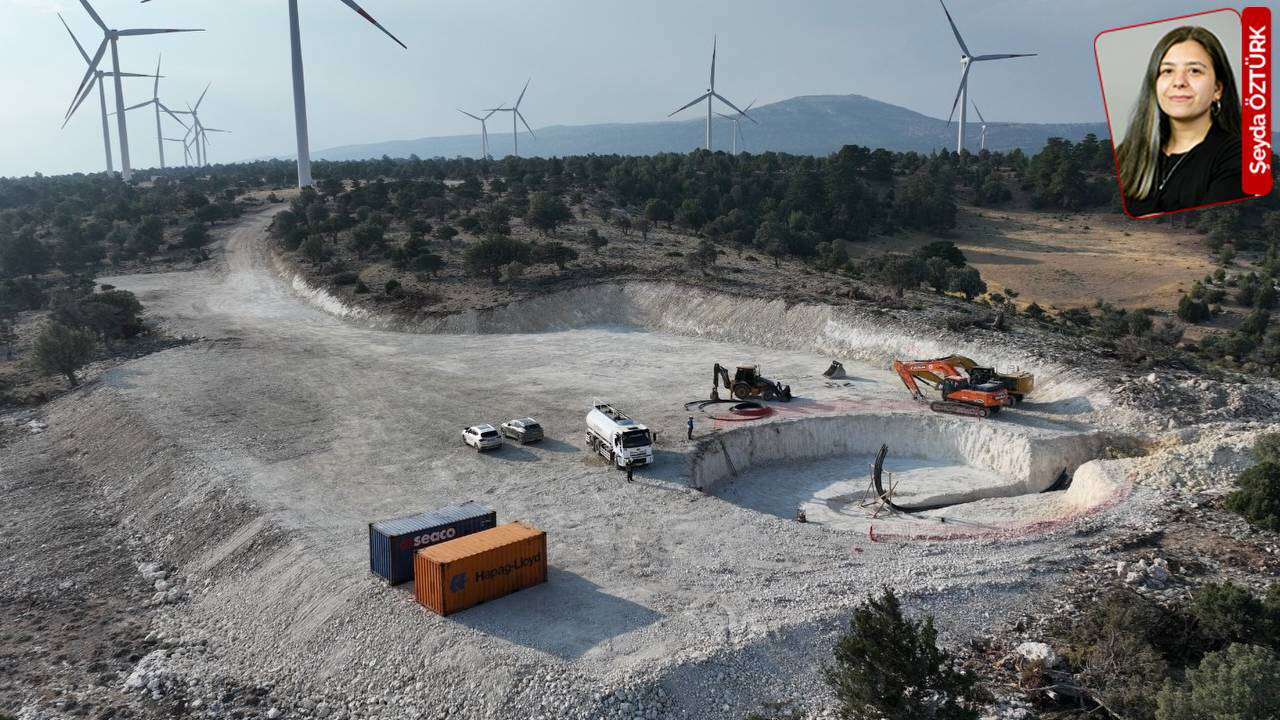 Kuzey Ormanları’nda kurulmak istenen RES’le birlikte 17 bin ağacı kesecekler: İstanbul’un nefesi kalmayacak