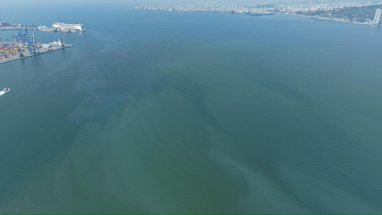 İzmir Körfezi’nde yine dış kaynaklı kirlilik alarmı