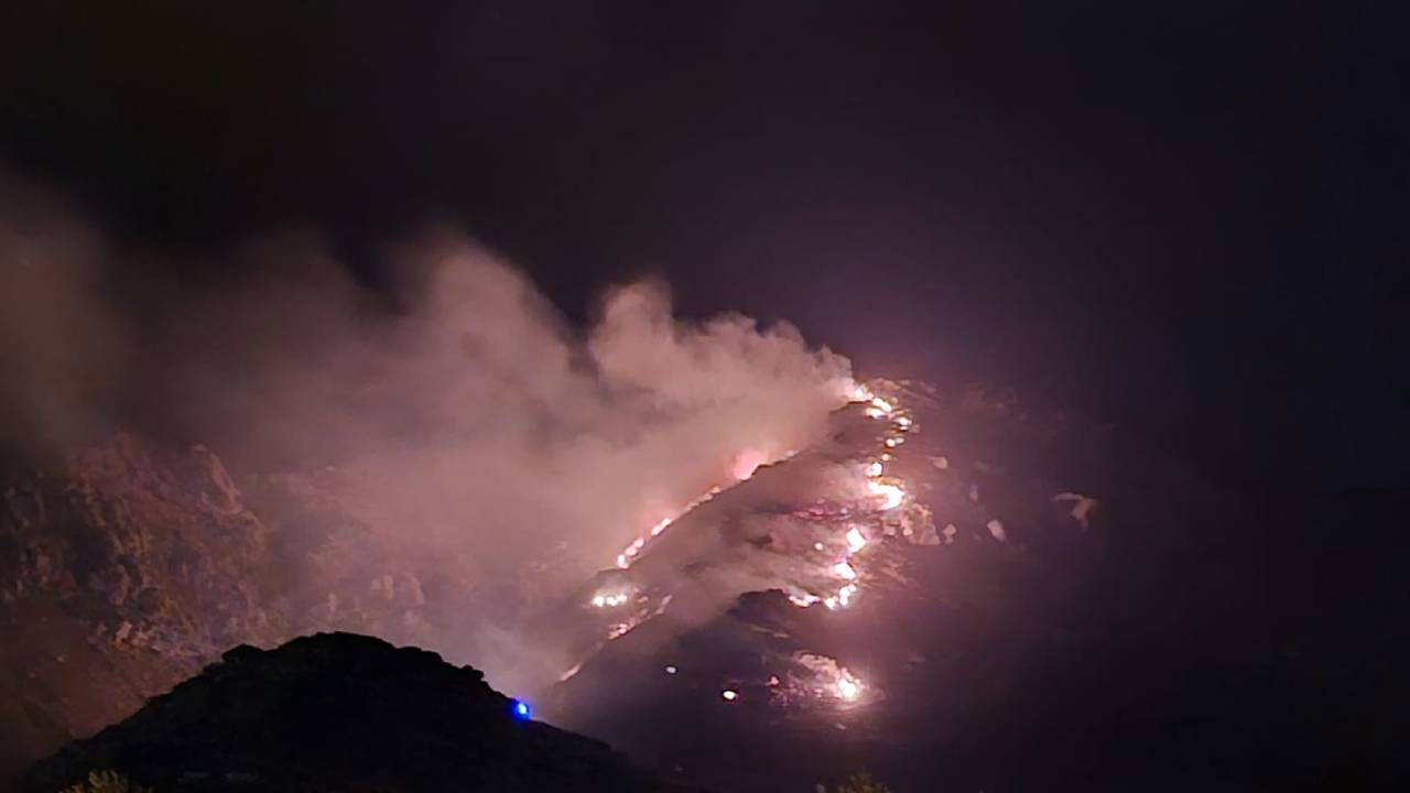 Marmara Adası'nda orman yangını!