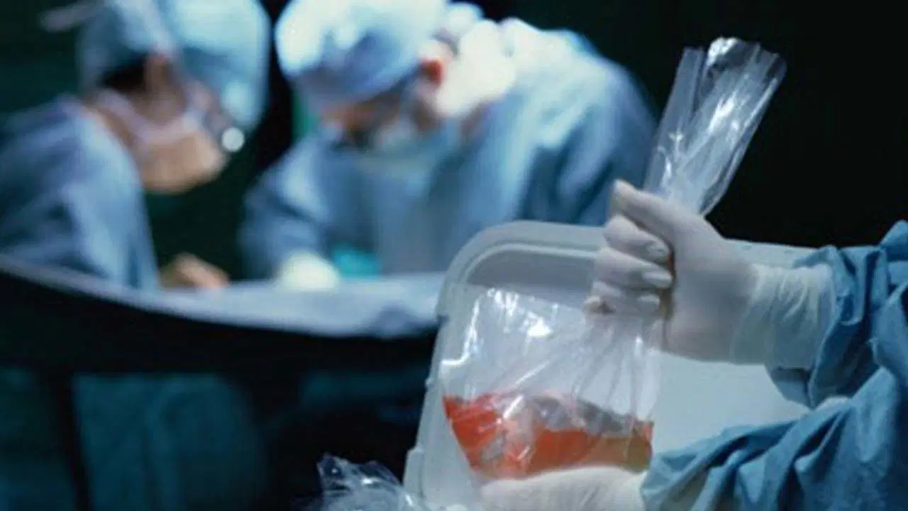 Kuduzlu böbrek nakli yapıldı, hayatını kaybetti