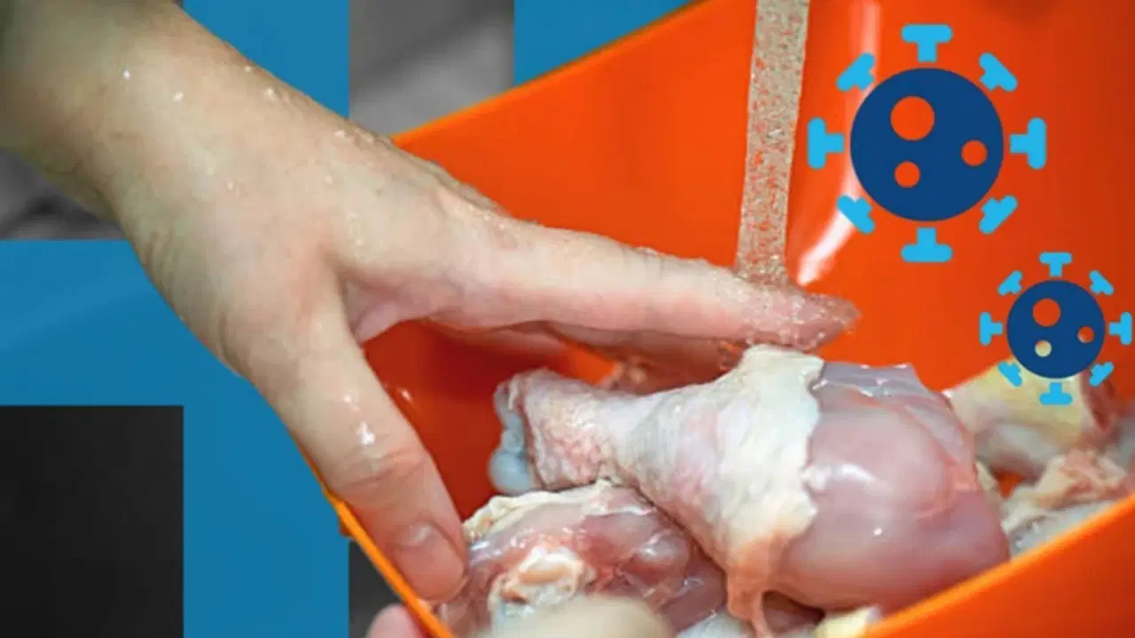 Sosyal medyayı ikiye bölen soru: Çiğ tavuk yıkanmalı mı?