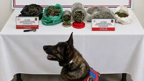 1.2 kilo esrar ele geçirildi: 1 kişi gözaltına alındı