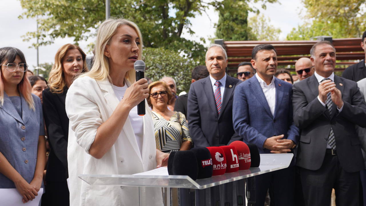 'Keyfi gözaltılar ve tutuklamalar son bulsun'