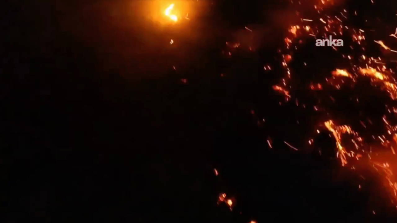 Aydın ve Karabük'te orman yangını!