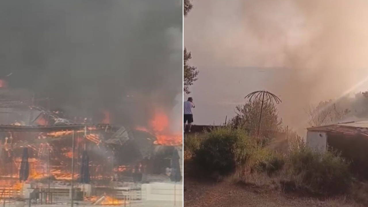 Son Dakika... Büyükada'daki plajda çıkan yangın ormana sıçradı: 4 kişi hastanelik oldu, yangın kontrol altında!