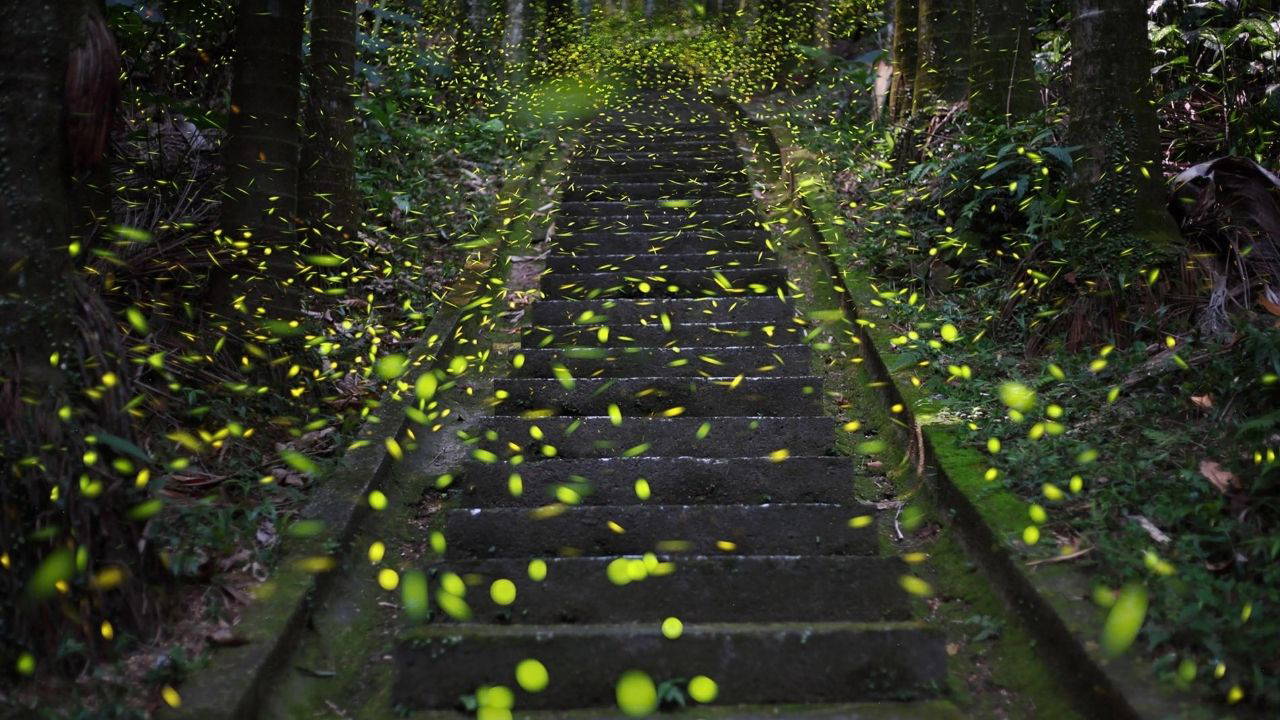 Küresel ekolojik kriz derinleşiyor: İşte, kaybolduğunu fark etmediğimiz 7 şey!