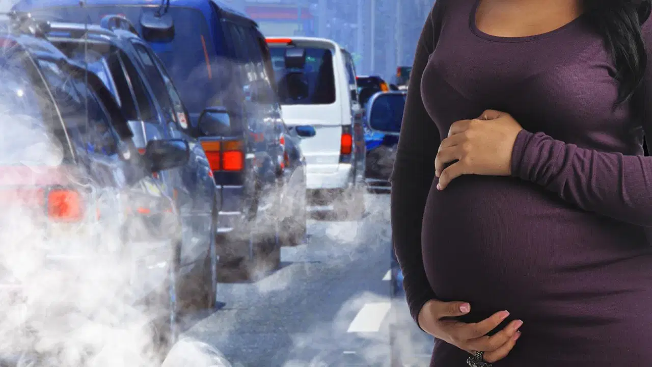 ‘Hava kirliliği üreme sağlığını olumsuz etkileyebilir’