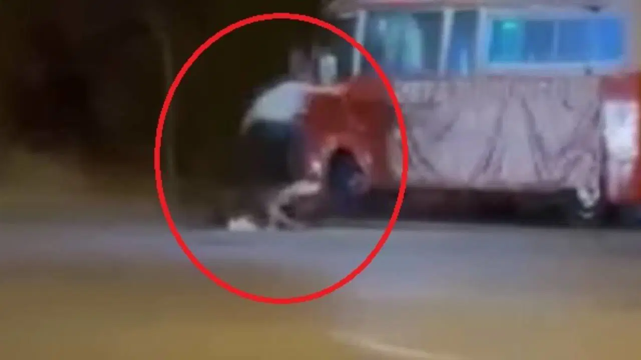 Köfteciyi hesap kavgasında öldürdü: Şüpheli tutuklandı
