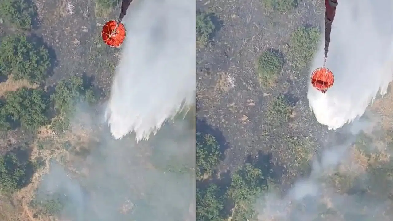 Aydın'da tarım arazisinde yangın