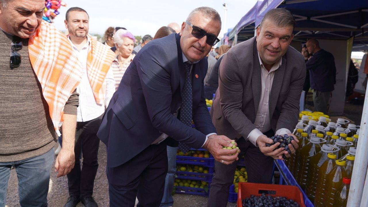 Orhanlı Köyü'nde Zeytin Hasadı Festivali coşkusu