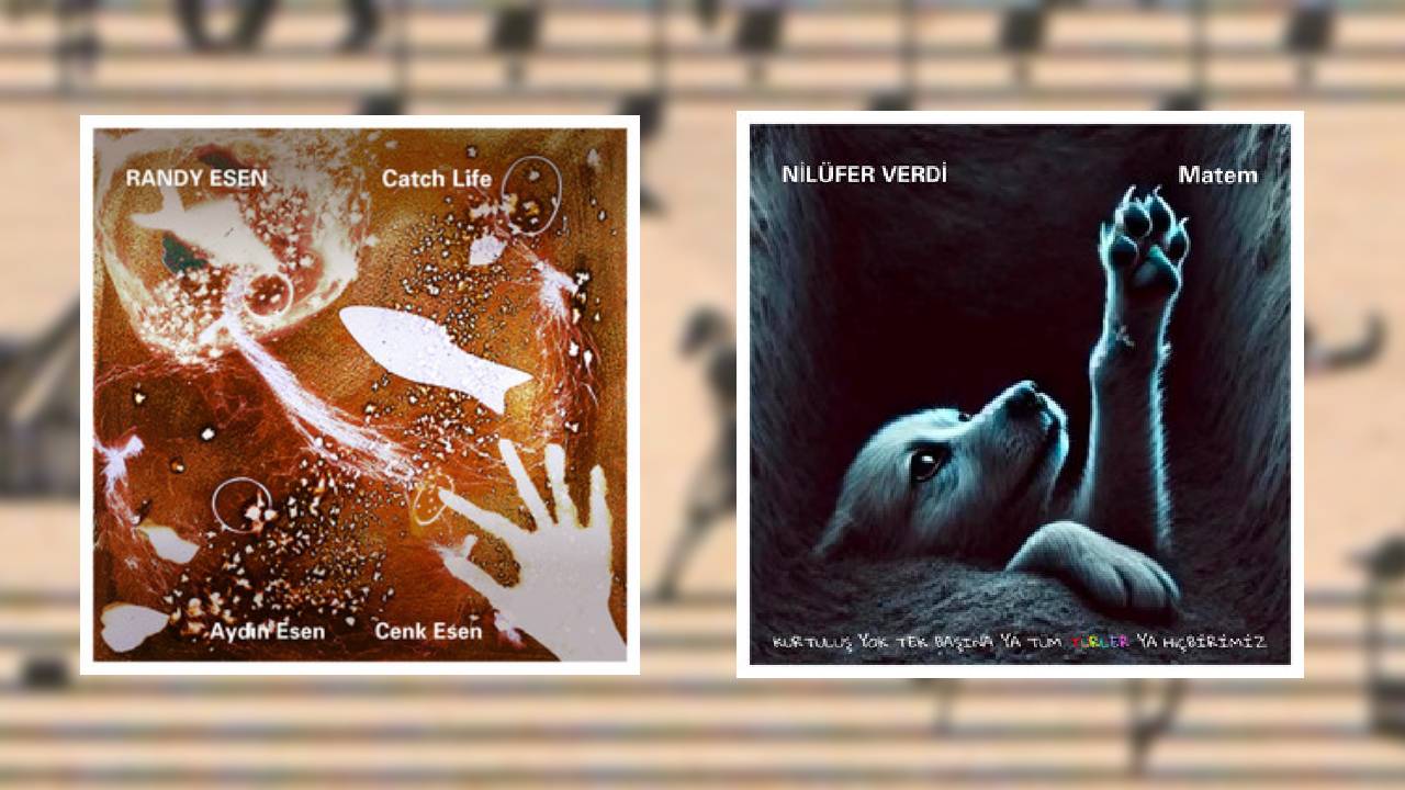 Müzik Dünyasında Yeni Sesler: Albümlerin İzinde Bir Yolculuk