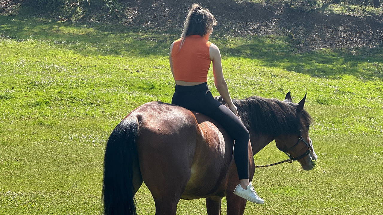 Geçişlerin bize öğrettikleri