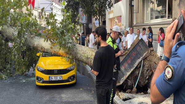 Şişli'de araçların üzerine ağaç devrildi, yol trafiğe kapandı