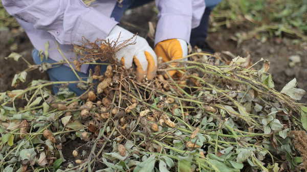 Son Dakika Haber Görseli