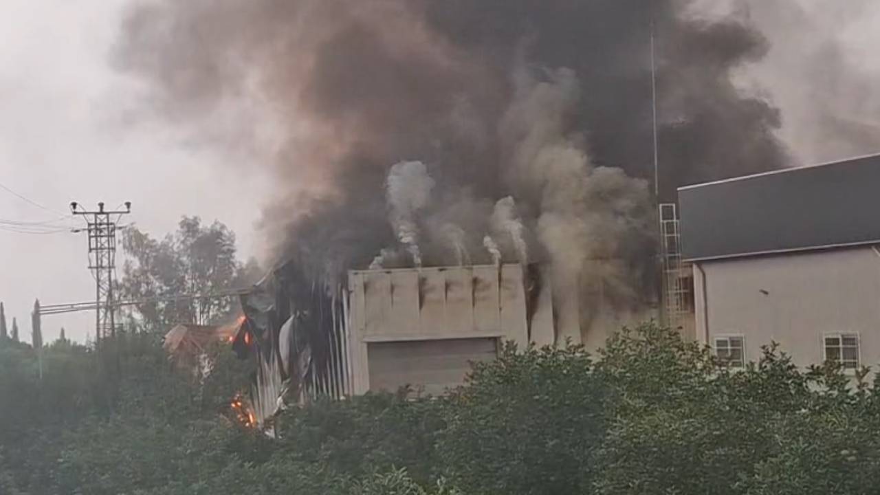 Mersin'de tütün işleme tesisinde yangın paniği