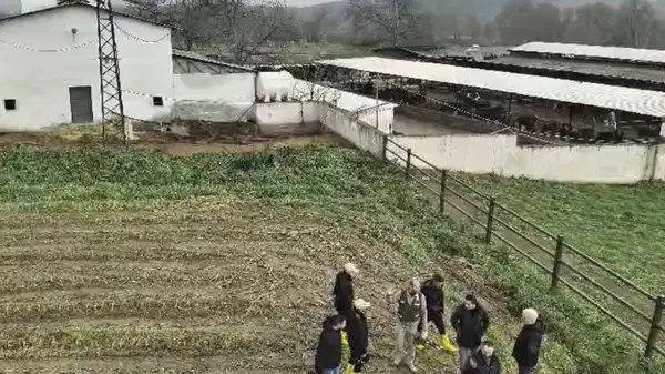 Bilecik'te 20 yıl önce 3 kişinin kaybolması: 'Cinayet' iddiasına 3 tutuklama!