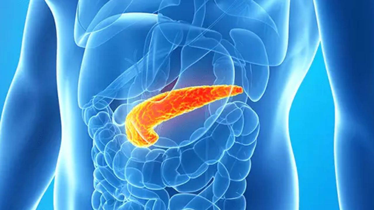 Kimse bu belirtileri önemsemiyor: Yılda binlerce can alan 'sessiz katil' hakkında korkutan uyarı!