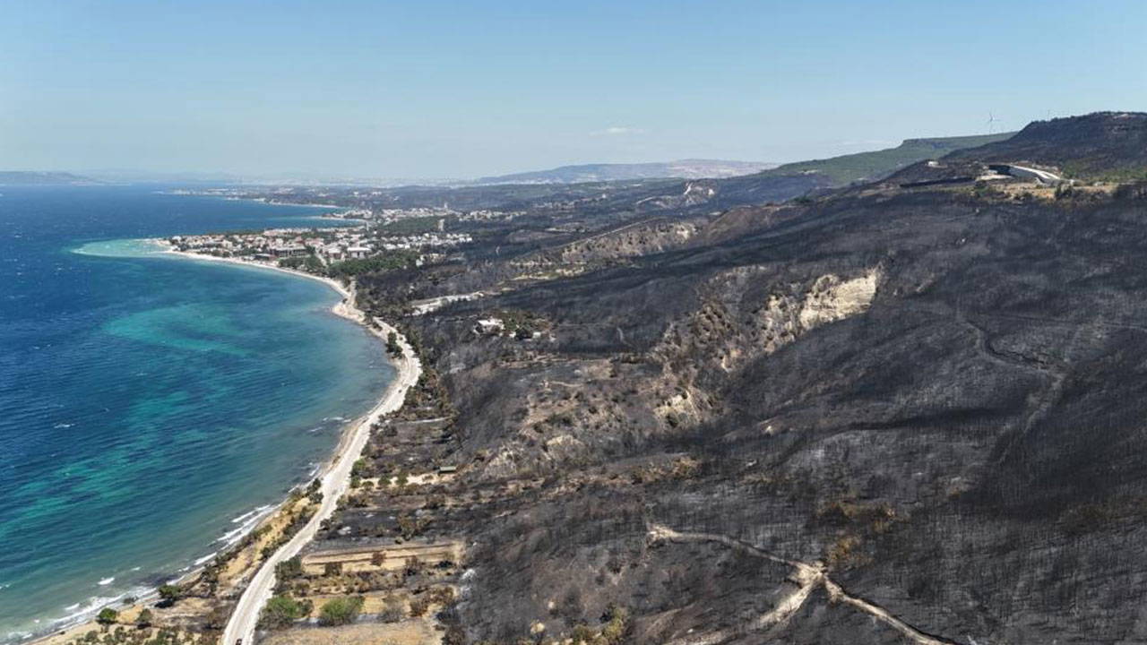  Çanakkale'deki orman yangınının ardından acı görüntü...