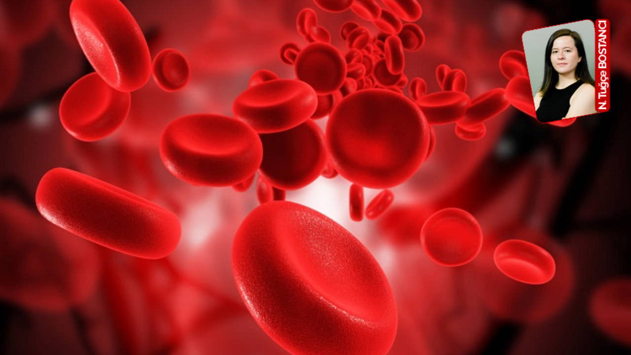 Halk sağlığında görünmeyen kriz: ‘Demir eksikliği anemisi hala en yaygın sorun'