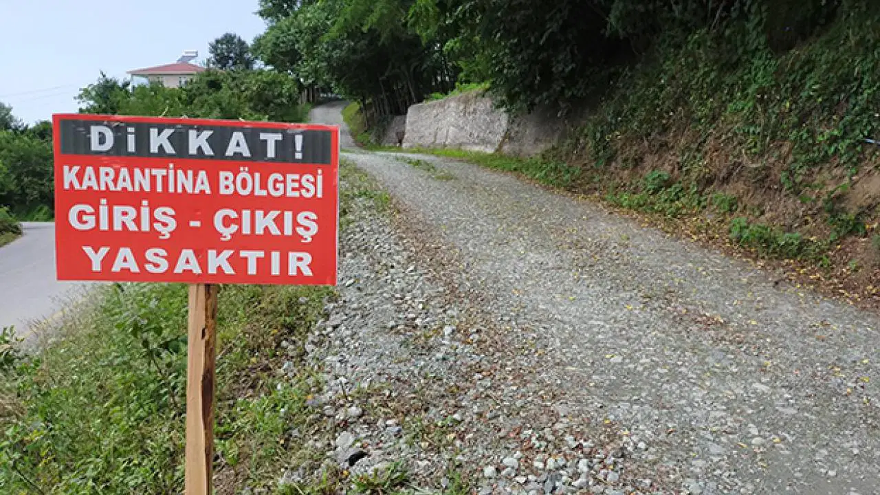 Bergama'da mavi dil hastalığı nedeniyle 15 mahalle karantinaya alındı
