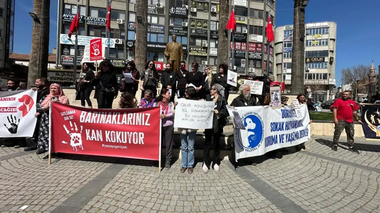  'Barınaklarınız kan kokuyor'