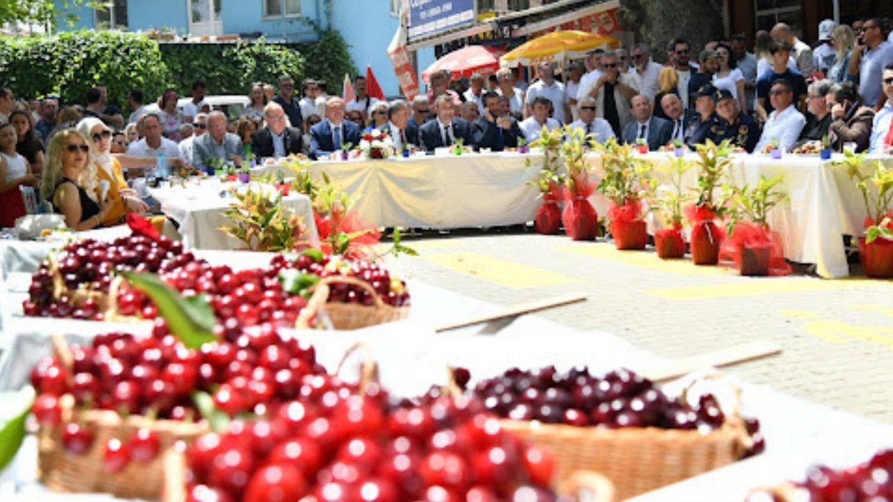 Tekirdağ Kiraz Festivali ne zaman? Tekirdağ Kiraz Festivali nerede?