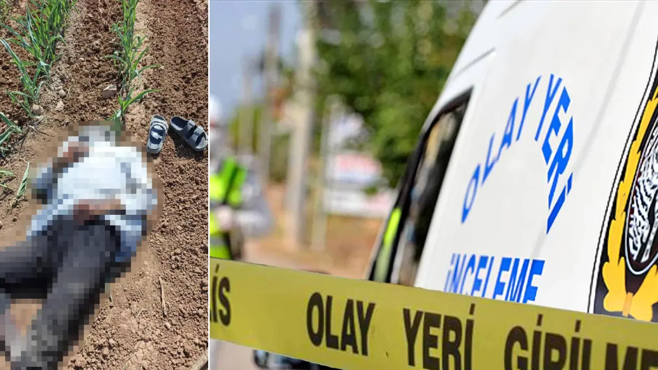 Şanlıurfa’da mısır tarlasında erkek cesedi bulundu