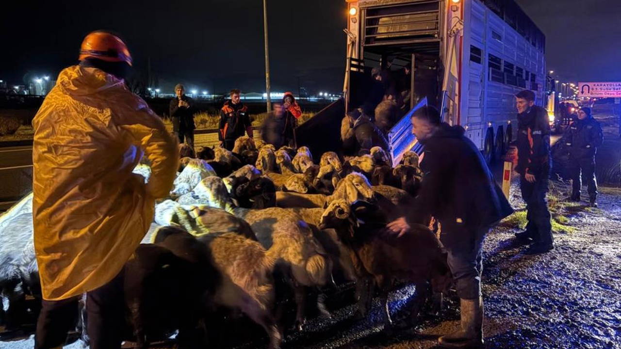 Kayseri’de 'taşkın' alarmı: 200 hayvan tahliye edildi