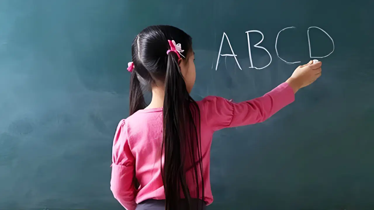 'Eğitim ve güvenlik tesadüfe bırakılamaz!'