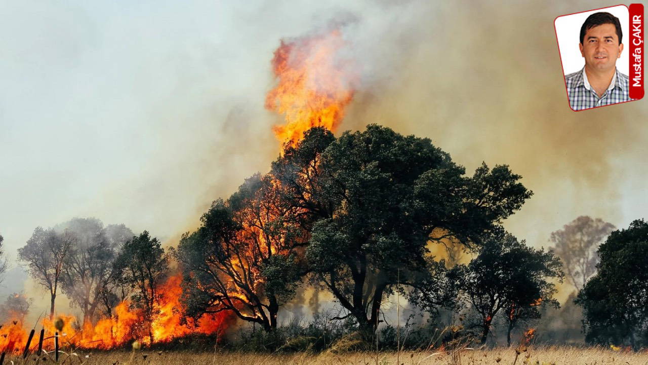 Yangınlarda zarar gören ormanlık alanlarda acı bilanço netleşti. Geçen yıldan daha fazla alan yandı: 30 bin hektar kül oldu! 