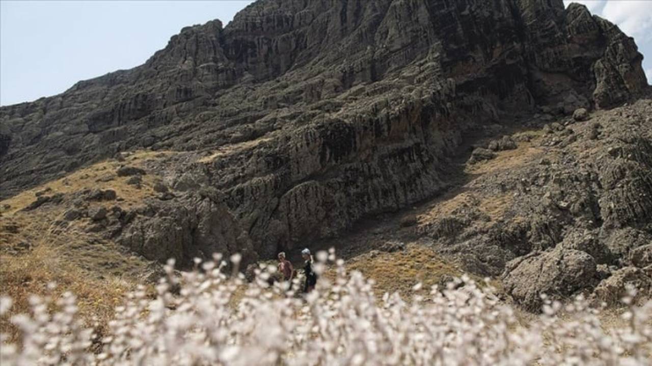 Tunceli'de Düzgün Baba Ziyaretgahı tahrip edildi: 1'i muhtar 3 şahıs tutuklandı