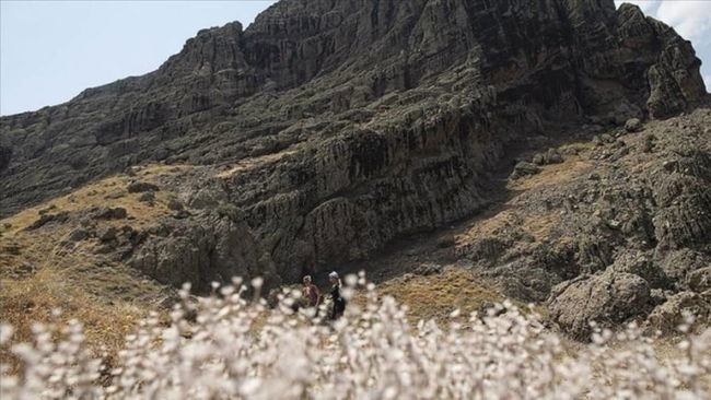 Tunceli'de Düzgün Baba Ziyaretgahı tahrip edildi