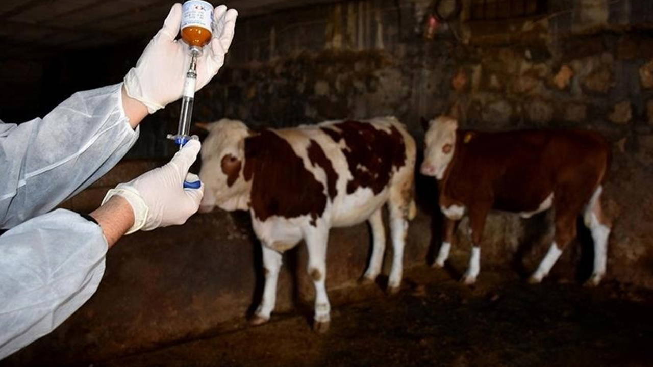 Son Dakika Haber Görseli