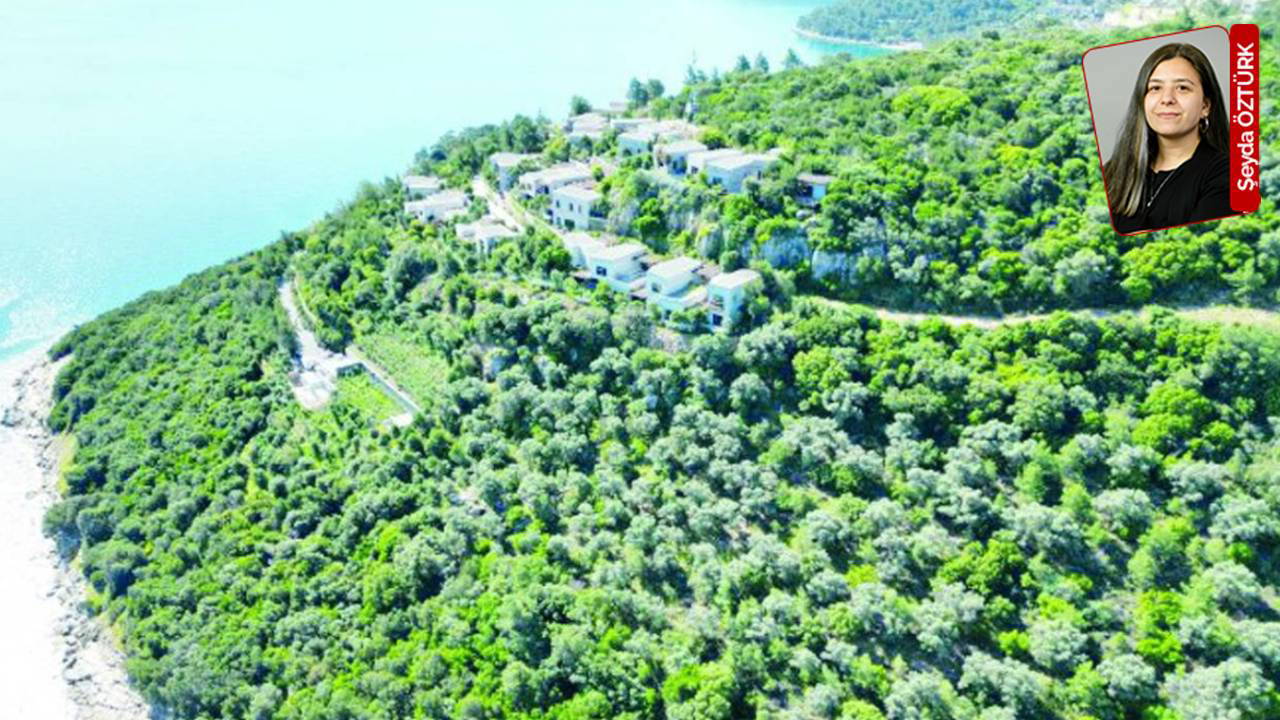 Yurttaşa soracaklar 