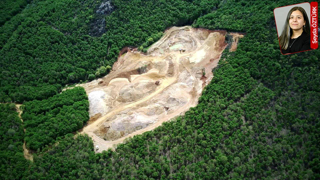 Kuzey Ormanlarındaki yıkım bakanlığın masasında 24 Mart’ta tartışılacak: Belediye hiçe sayıldı